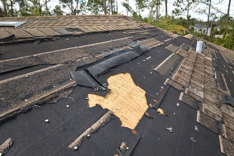 Roof Damage Assessment