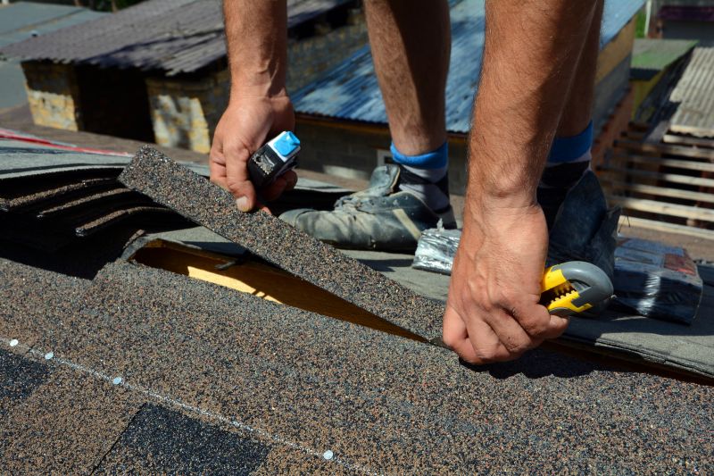 Shingle Repair by Experts